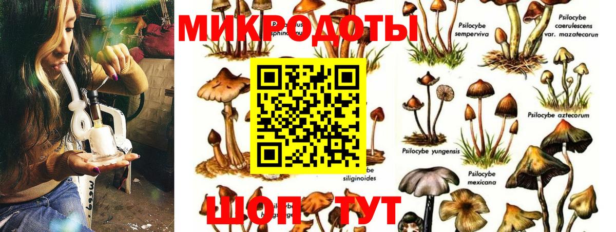 Павловский Посад  Вход с VPN  Каннабис  Меф МЯУ МЯУ   МЕФ 
