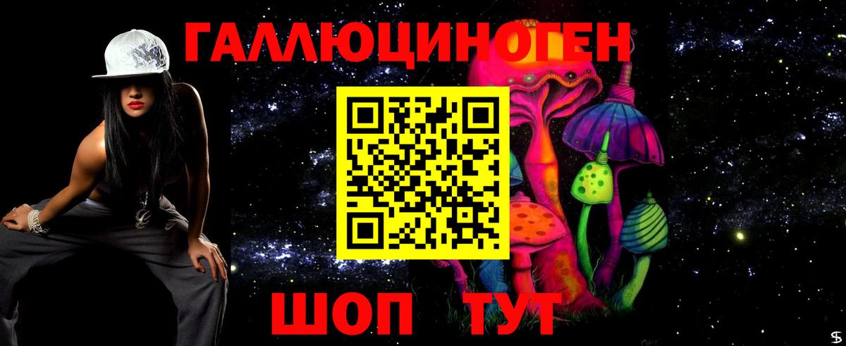 Павловский Посад  Псилоцибиновые грибы Psilocybe  Вход с VPN 